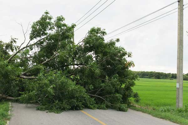 Emergency or Storm Damage | Green Light Electrical | Illawarra Electrician